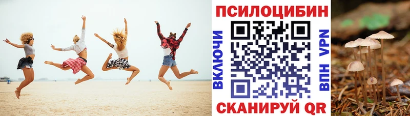 где купить наркоту  Сочи  Псилоцибиновые грибы мицелий 