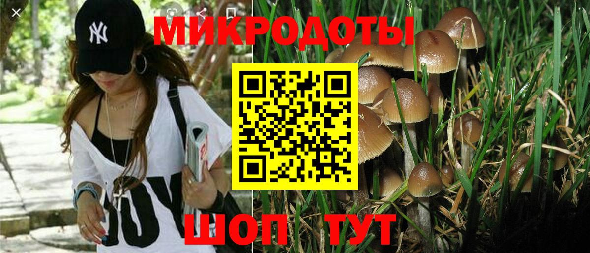 Сочи  Галлюциногенные грибы Psilocybe  Вход с VPN 