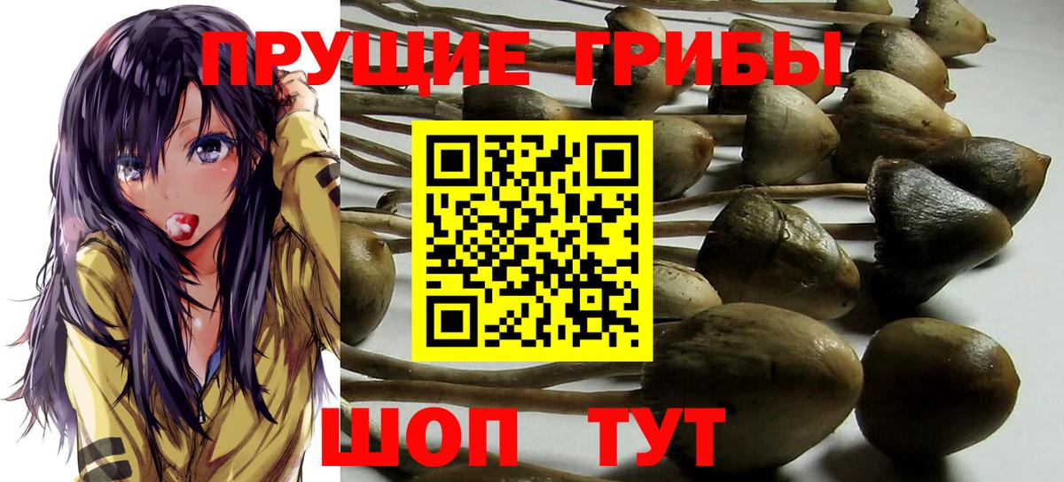 Псилоцибиновые грибы ЛСД Сочи